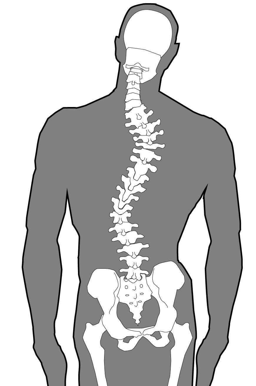 ������C���ɁC���̉@