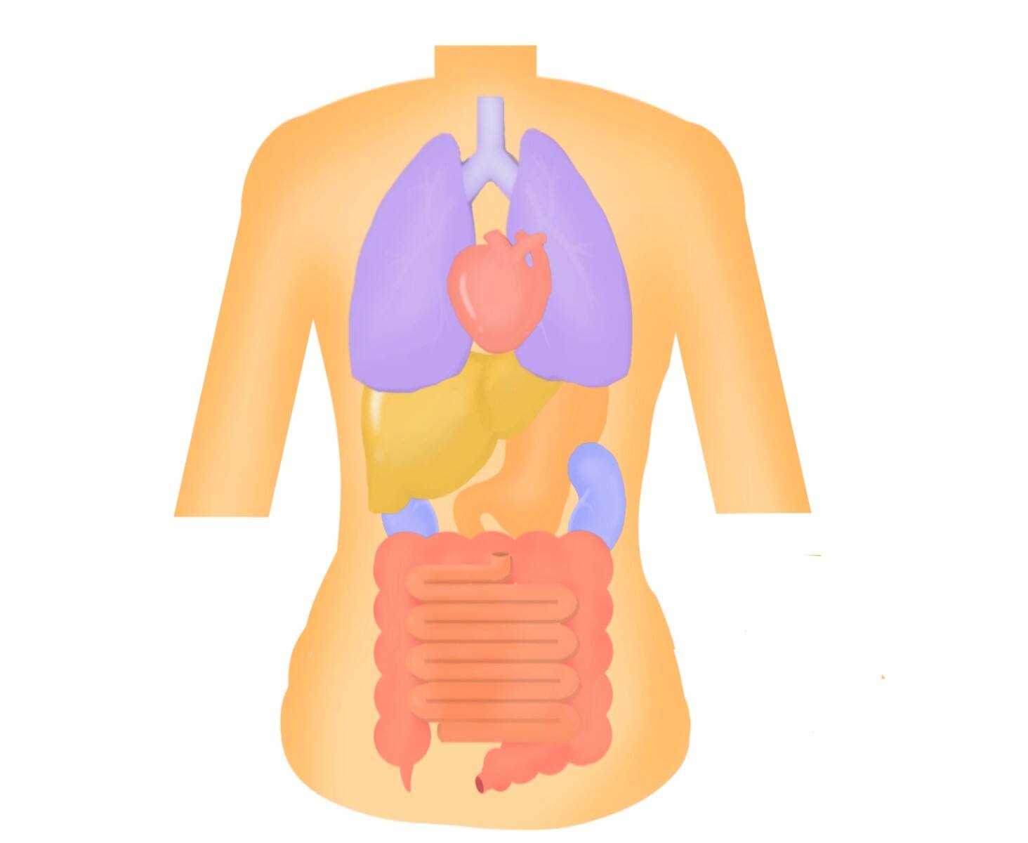 ������C���ɁC���̉@